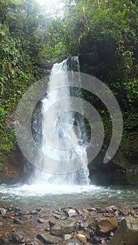 River rock with waterfall background
