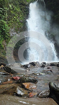 River rock with waterfall background