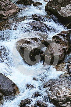 River and Rocks Forest Landscape water flow