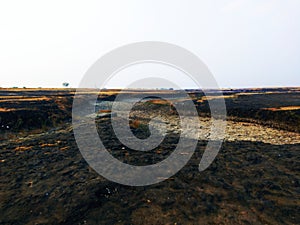 River with rocks and the ground