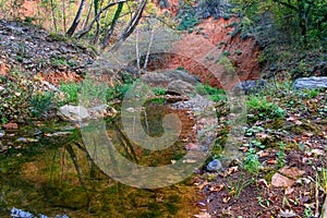 river between rocks inse the forest