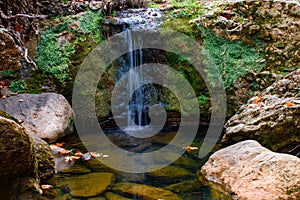 River with rocks inside the forrest