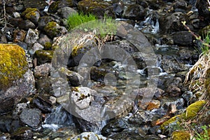 River rocks with moss and stream