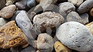 River rocks, with natural patterns and textures.