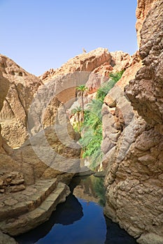 River between rocks in the oasis of Tozeur