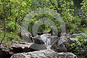 River, rocks and spring in Cerna Mountains, Romania