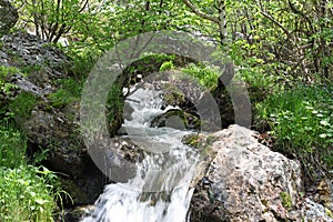 River, rocks and spring in Cerna Mountains, Romania