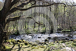 River Rothay in English Lake district, Cumbria