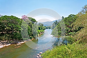 River of the Royal Botanical Garden, Peradeniya in Kandy, Sri Lanka