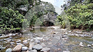 A river run through it