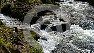 River running through ancient woodland