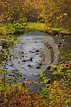 River running through the Autumn forest