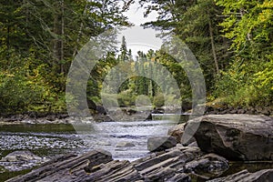 River Running Through a Forest in Early Fall