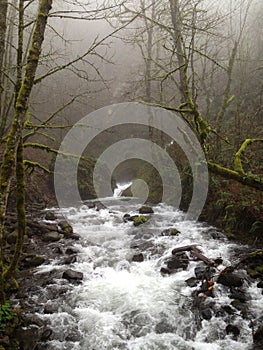 River running through the mist in Portland, Oregon