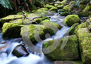 River Running over Mossy Rocks