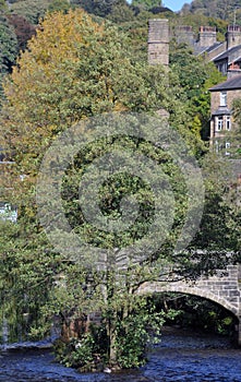 The river running thought the center of the town of hebden bridge with houses mill chimneys and the historic stone bridge