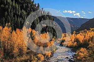 River runs through aspen and pine forest