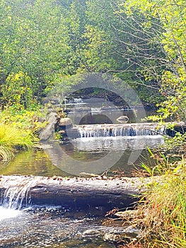 A river runs through it