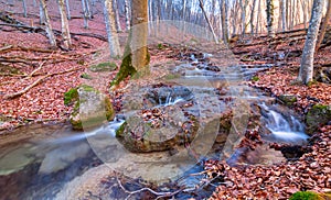 River rushing over autumn mountain canyon covered a dry leaves