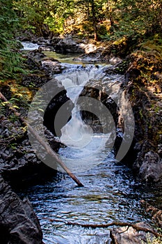 River rushing to its destination - Englishman river falls, Vancouver Island, BC