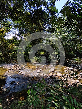 River at Sabak Bernam