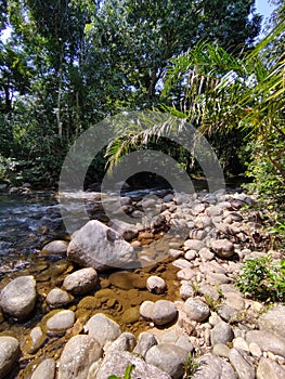 River at Sabak Bernam
