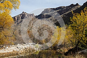 River in Sabino Canyon