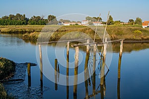 River sado in Comporta, Alentejo Portugal.