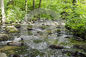 River SaidÄ— flows in the Neris Regional Park in Lithuania.