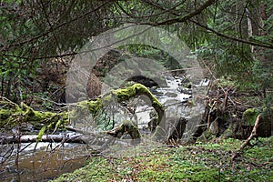 River Samokovska  Kopaonik