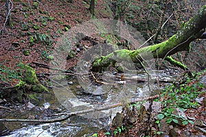 River Samokovska  Kopaonik