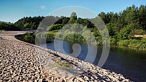 River sand coast green forest