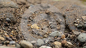 River sand texture with a mixture of iron ore and pebbles