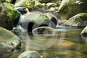 River scenics photo