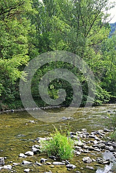 River Segre of MontellÃÂ¡ Martinet located in the Alta CerdaÃÂ±a region, Lleida province, Catalonia