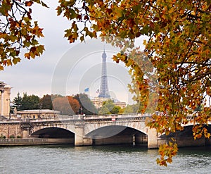 River Seine and Eiffel Tower with autumn leaves in Paris, France