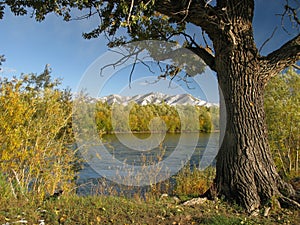 River Selenge Mongolia