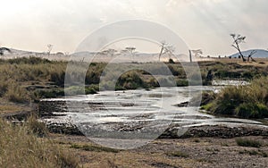 River in the serengeti