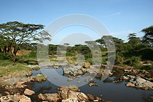 River - Serengeti Safari, Tanzania, Africa photo