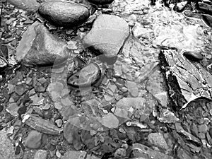 River shore rocks in black and white