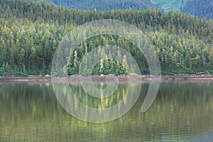 River Shoreline Reflecting Trees in Emerald Greens