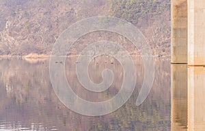 River shoreline with reflections of trees