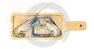 River shrimp common or Macrobrachium rosenbergii with square wooden tray isolated on white background