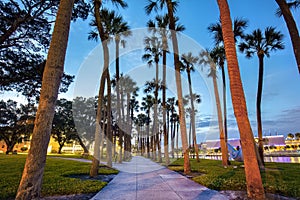 River Side Trail At Night, Lined With Palm Trees At The University of Tampa