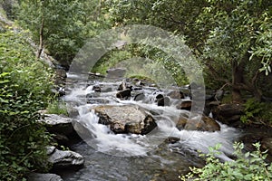 River silky water rocks trees elm brook San Juan