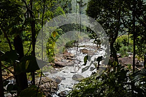 River in Sinharaja forest national park - Sri Lanka