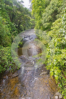 River, Sinharaja National Park Rain Forest, Sinharaja Forest Reserve
