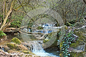 River with small waterfalls