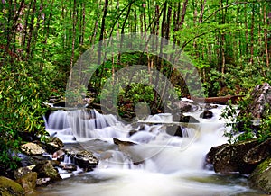 River in the Smoky Mountains