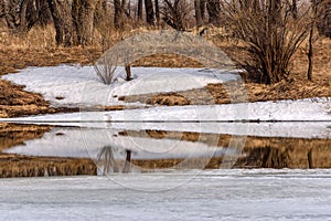 River snow reflection ice spring